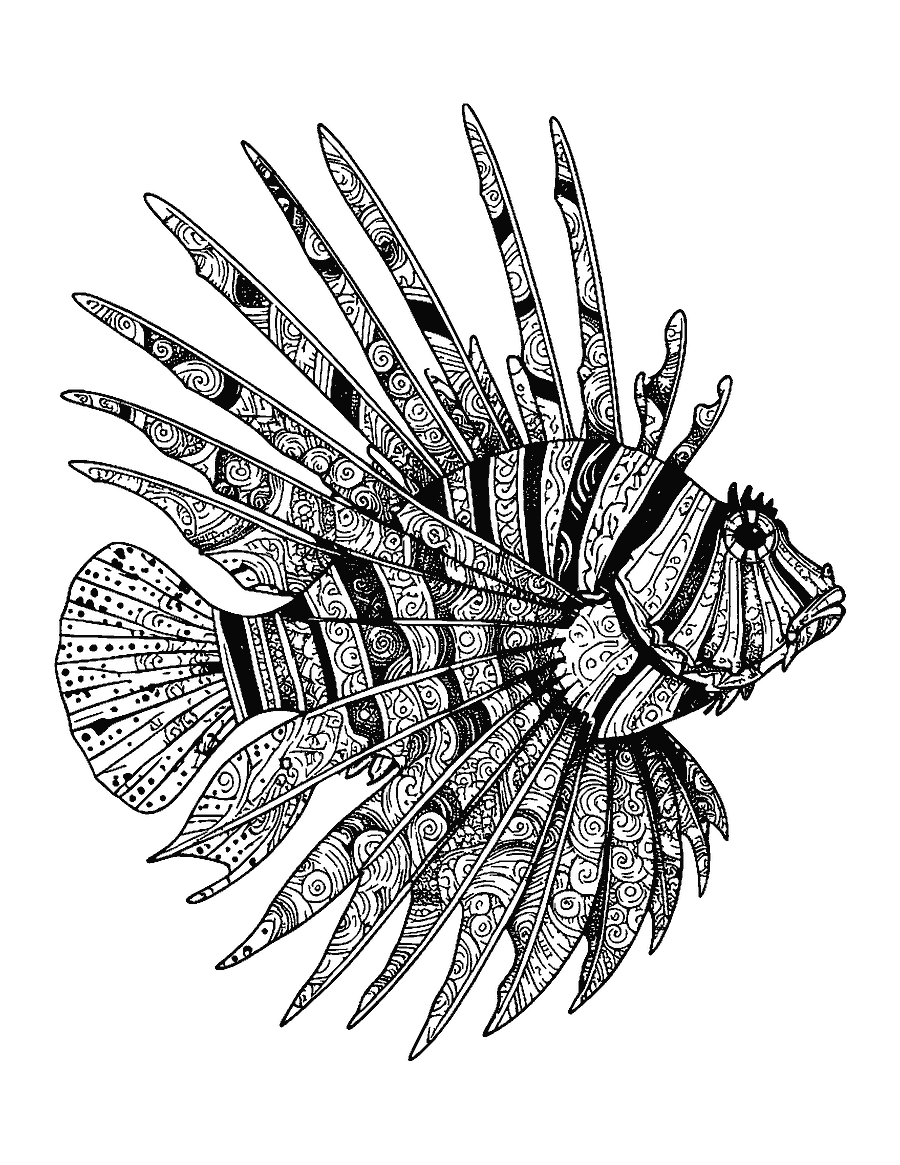 Line drawing of a lionfish with fanned fins filled with doodle patterns