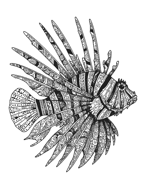 Line drawing of a lionfish with fanned fins filled with doodle patterns