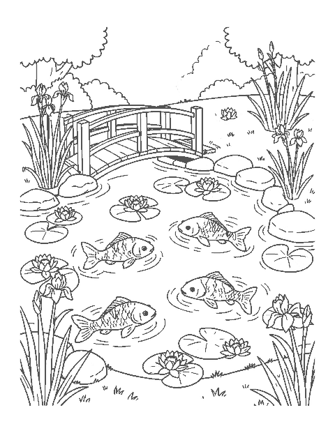 Line drawing of four koi fish in a lily pond with a wooden bridge and irises