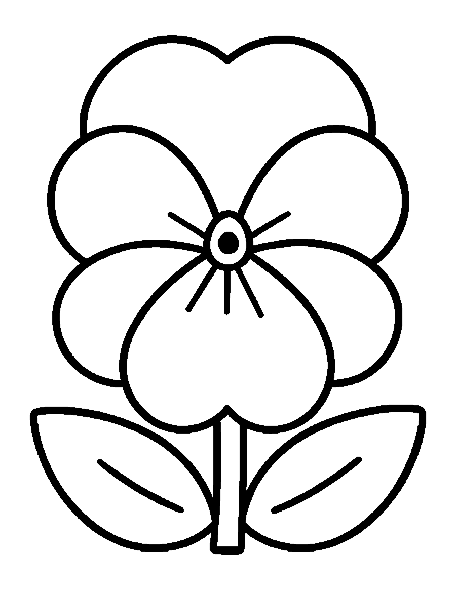 Line drawing of a large pansy flower with five rounded petals seen from the front