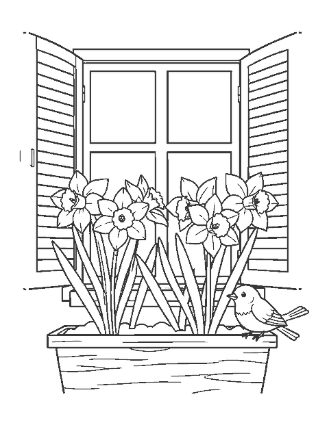 Line drawing of daffodils in a window box under open shutters with a bird on the sill
