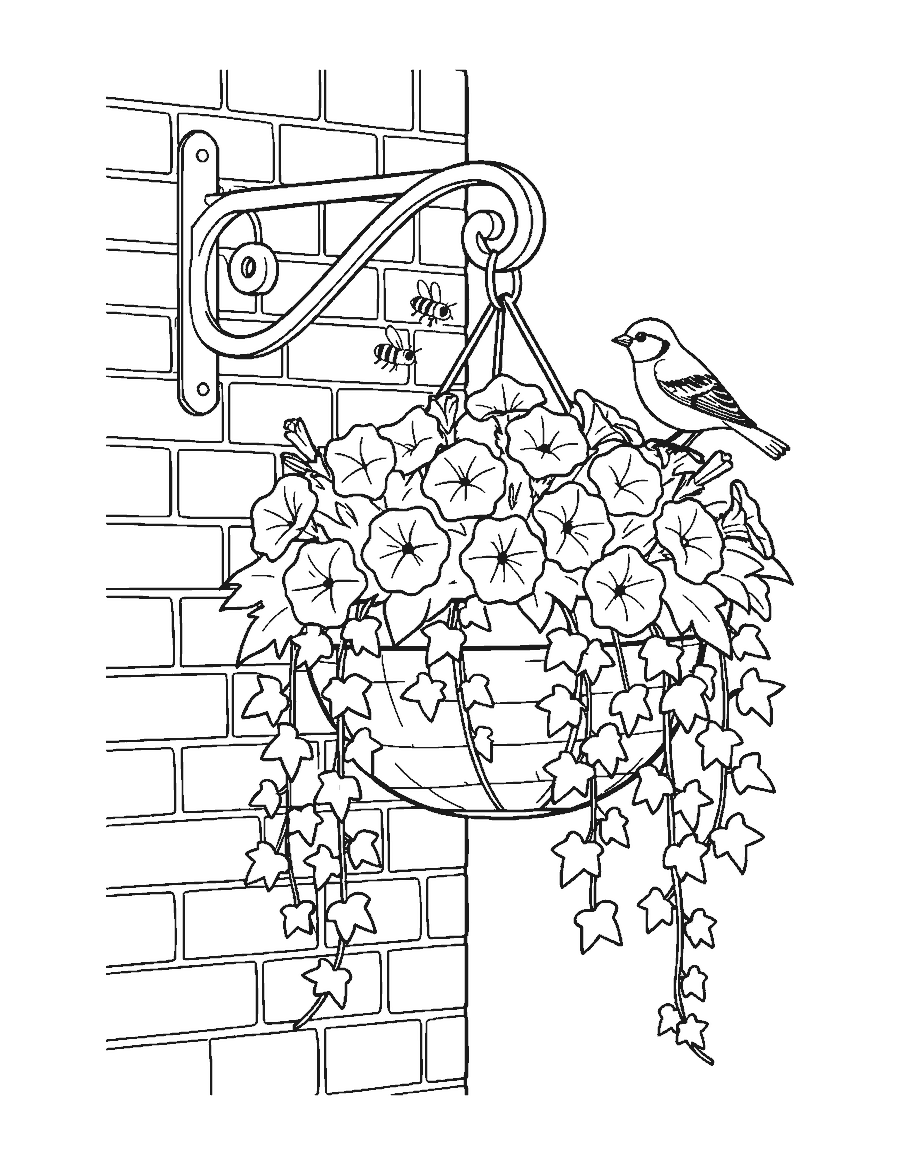 Line drawing of a hanging basket of petunias and ivy with a sparrow perched on the rim