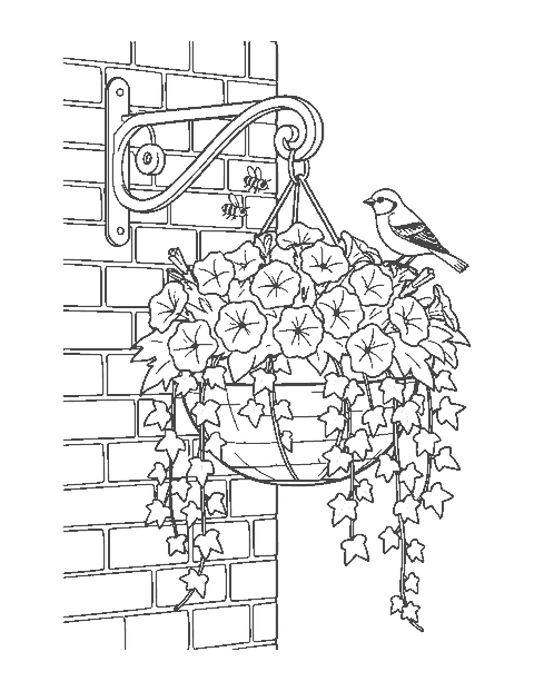 Line drawing of a hanging basket of petunias and ivy with a sparrow perched on the rim