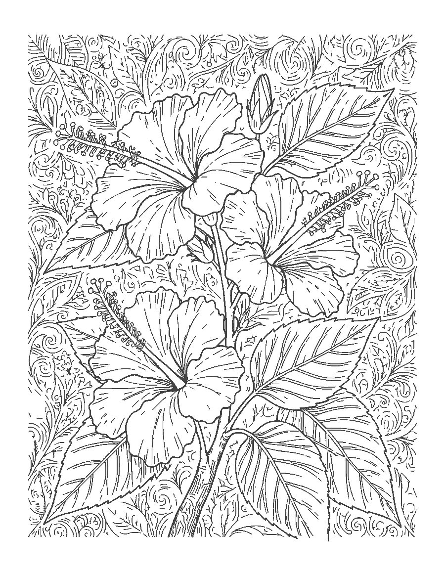 Line drawing of a hibiscus branch with three ruffled blooms, buds and finely veined leaves