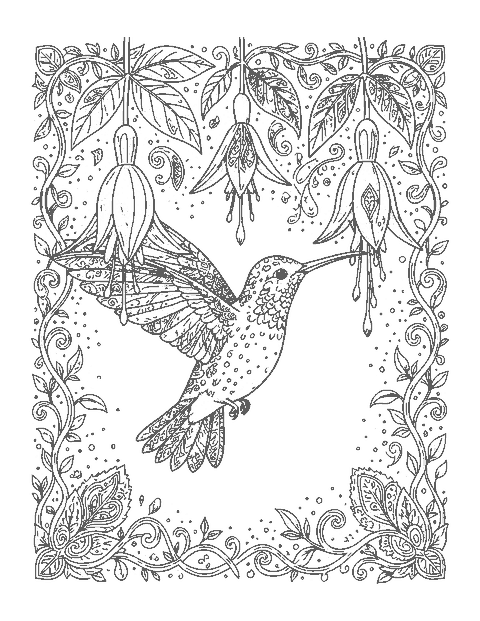 Line drawing of a hummingbird among hanging fuchsia flowers filled with paisley patterns