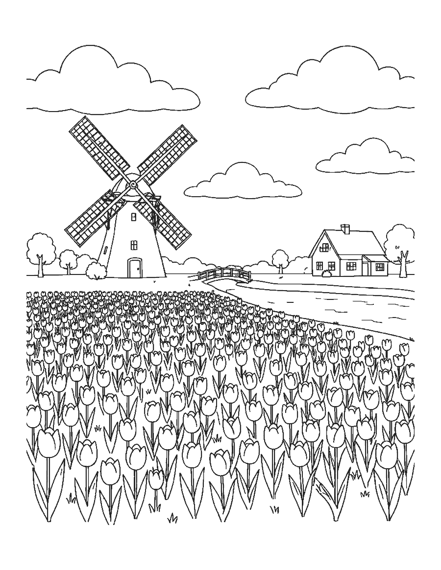 Line drawing of rows of tulips leading to a windmill with a canal, footbridge and farmhouse