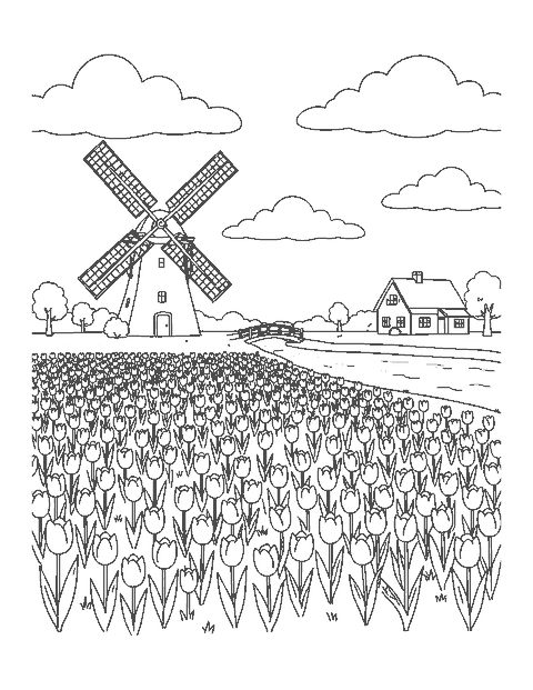 Line drawing of rows of tulips leading to a windmill with a canal, footbridge and farmhouse
