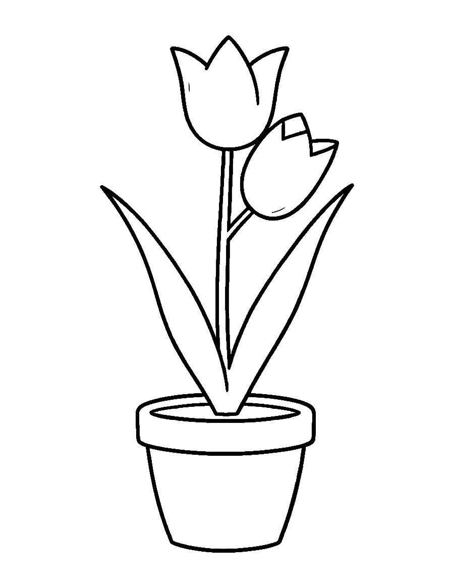 Line drawing of a single tulip growing in a round clay flower pot