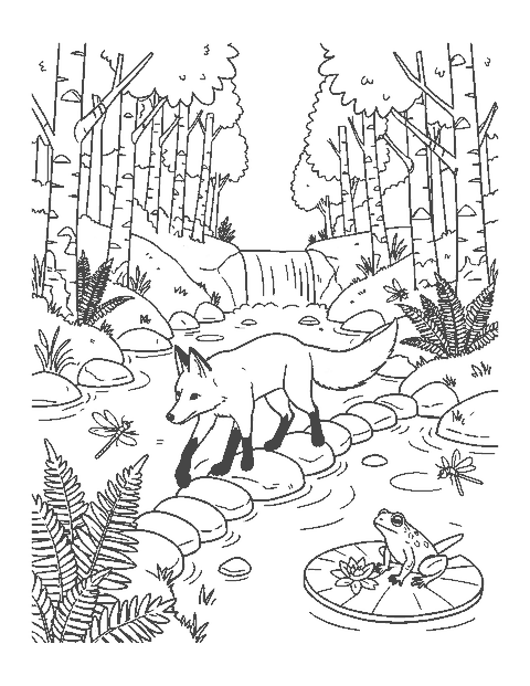 Line drawing of a fox stepping across stones in a forest stream near a small waterfall