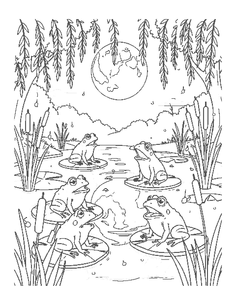 Line drawing of frogs with puffed throats singing on lily pads under a full moon