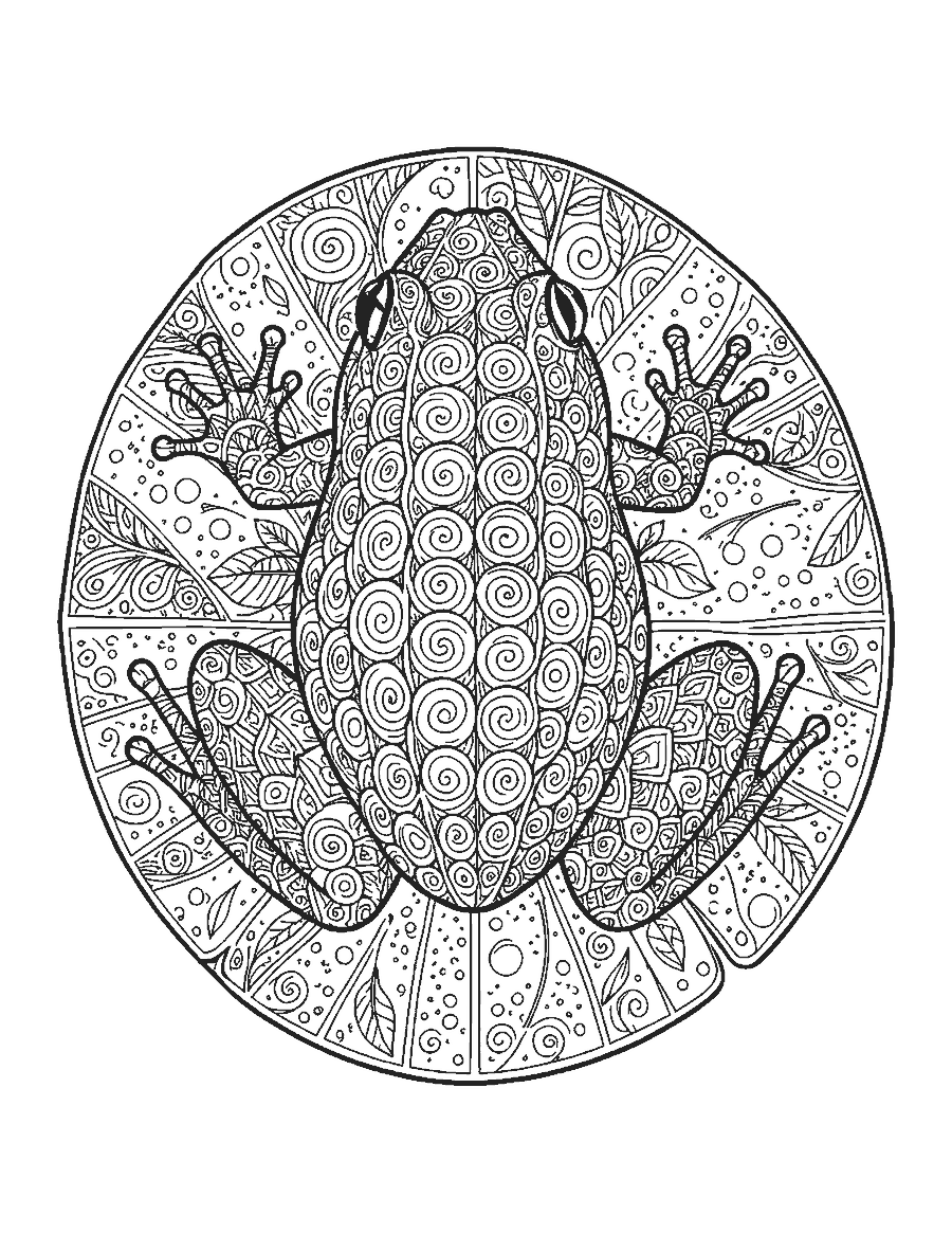Line drawing of a crouching frog seen from above filled with doodle patterns