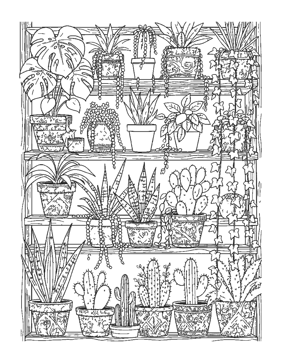 Line drawing of shelves of houseplants in pots decorated with intricate patterns