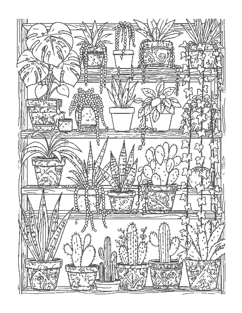 Line drawing of shelves of houseplants in pots decorated with intricate patterns