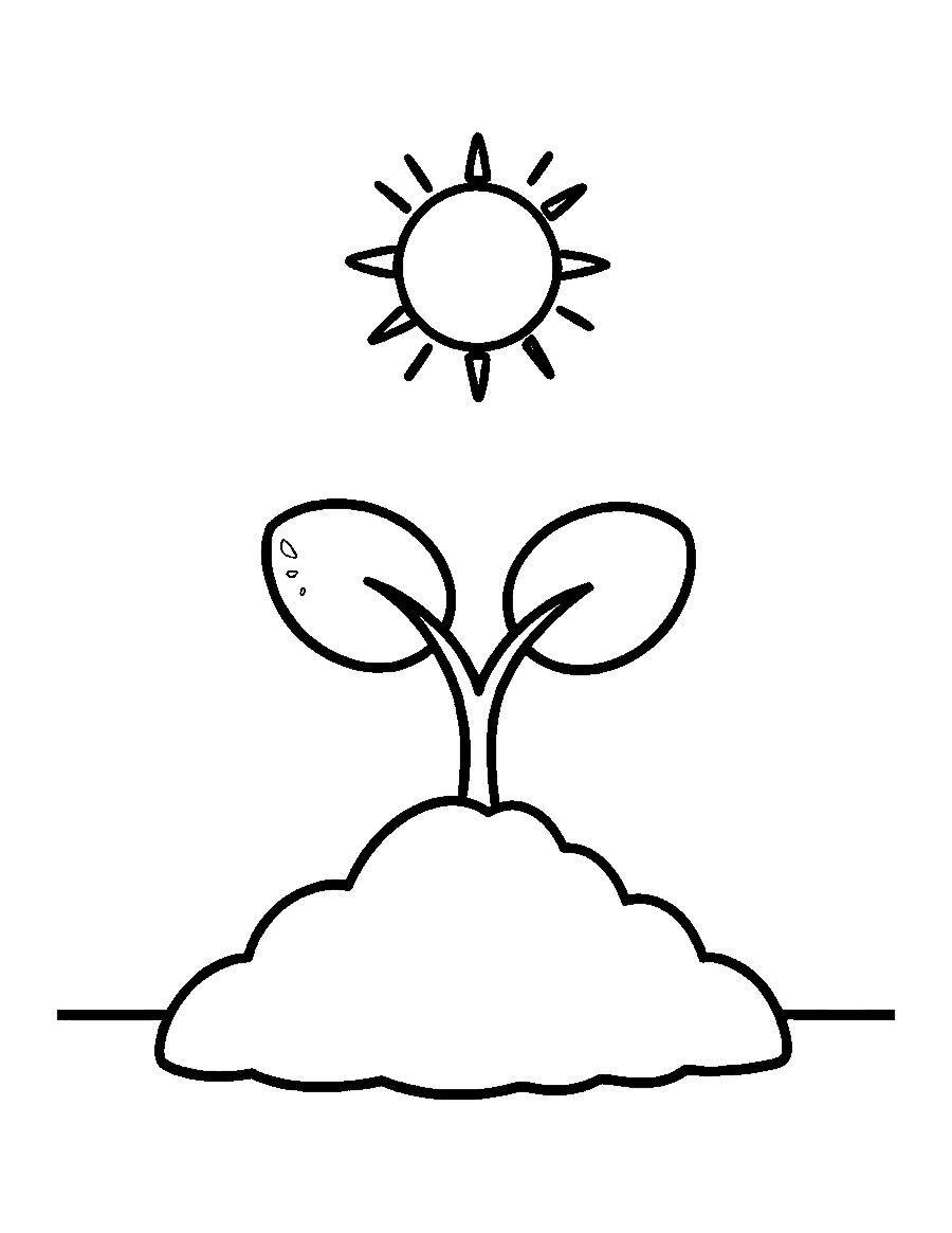 Line drawing of a small seedling with two round leaves growing from a mound of soil
