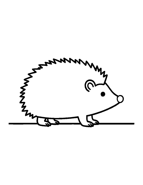 Line drawing of a round hedgehog with simple spines walking side-on