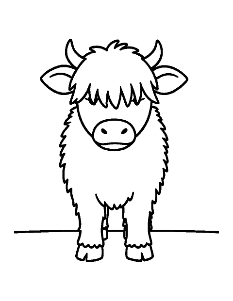 Line drawing of a fluffy baby Highland calf with a fringe over its eyes