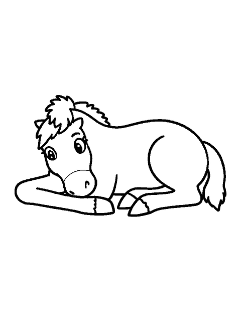 Line drawing of a baby foal resting on the ground with its legs folded under it