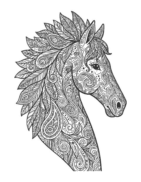 Line drawing of a horse head in profile filled with doodle patterns and a paisley mane