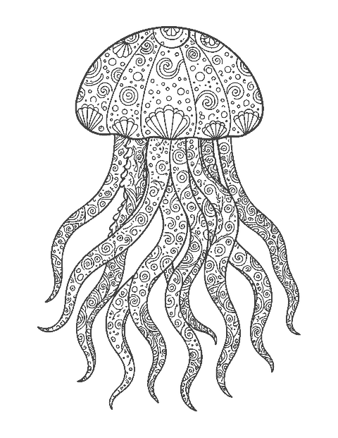 Line drawing of a large jellyfish with doodle patterns in its bell and flowing patterned tentacles
