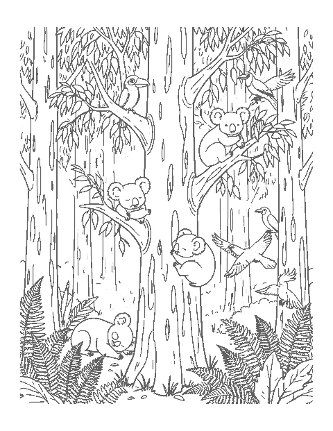 Line drawing of koalas eating, sleeping and climbing in a eucalyptus forest with birds