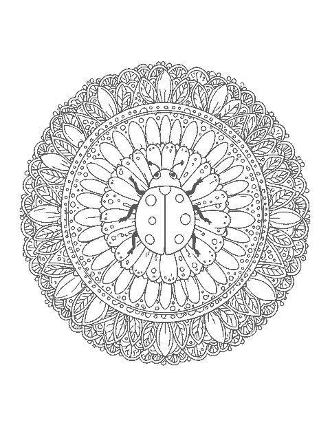 Line drawing of a ladybug at the center of a round mandala of daisies and leaves