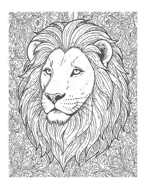 Line drawing of a realistic male lion with a thick flowing mane and calm eyes