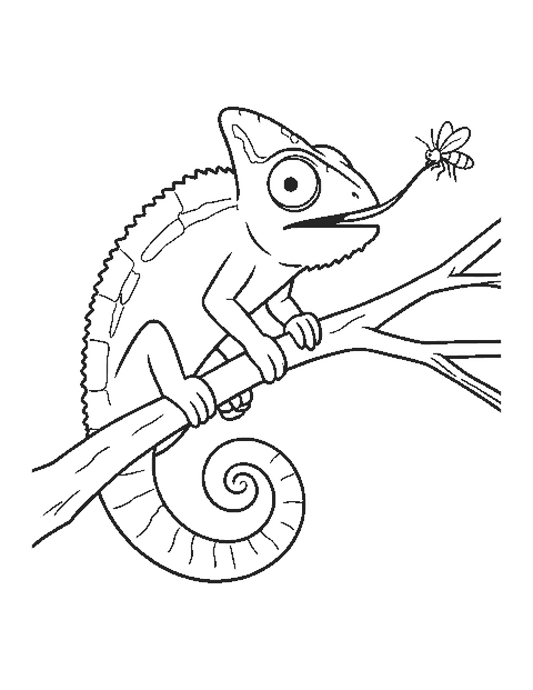 Line drawing of a chameleon on a branch shooting out its long tongue at a fly