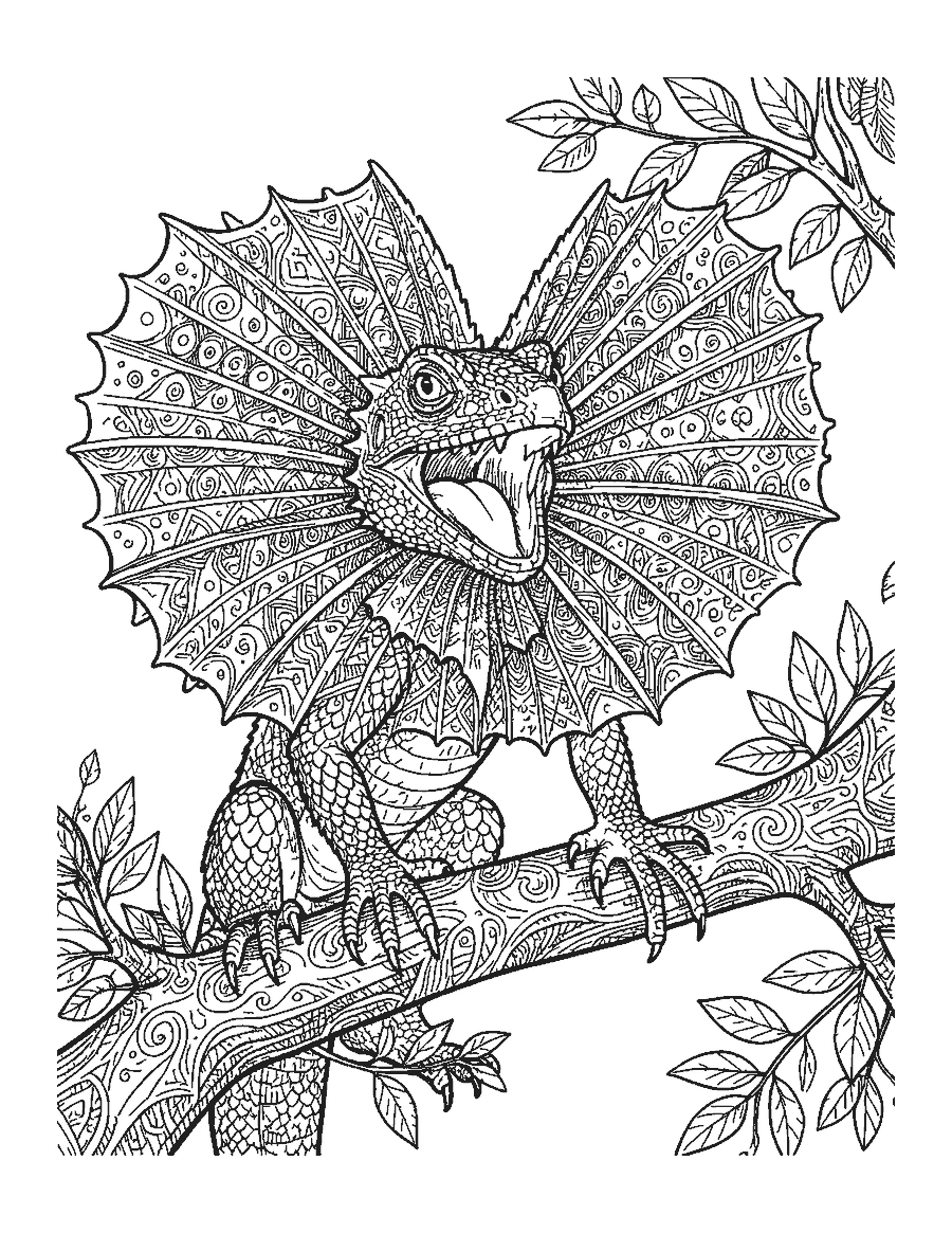 Line drawing close-up of a frilled lizard with its wide neck frill spread open