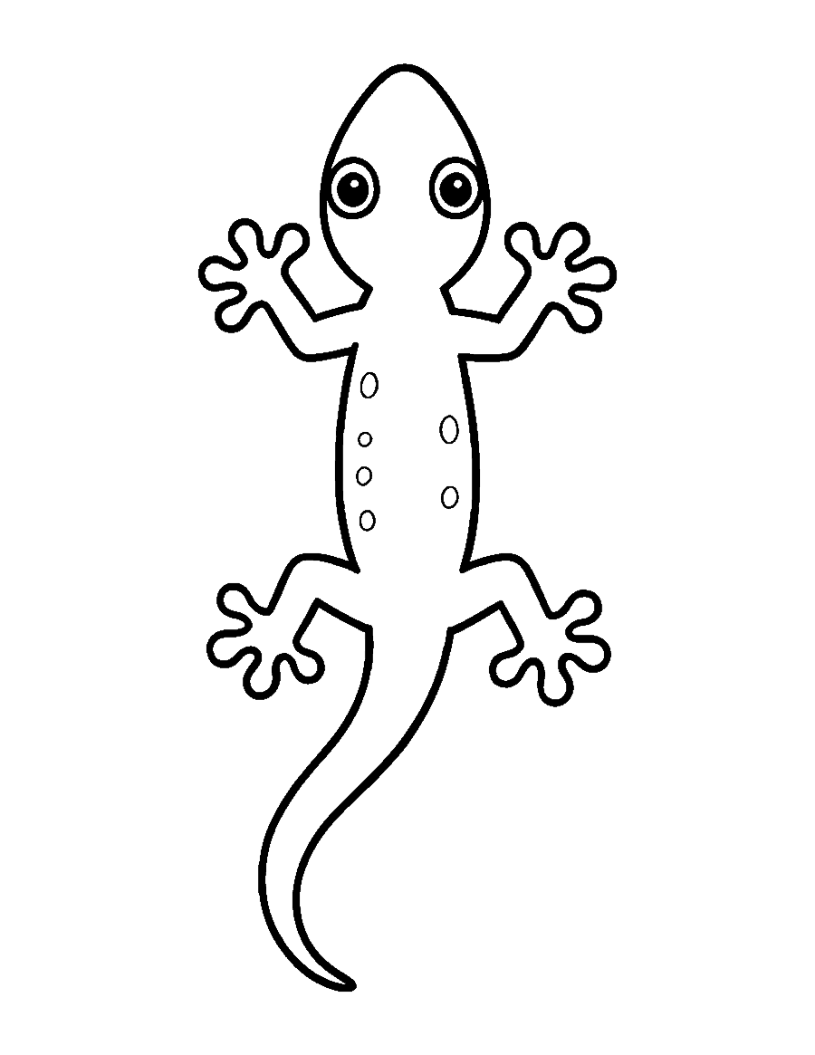 Line drawing of a spotted gecko seen from above with round sticky toe pads