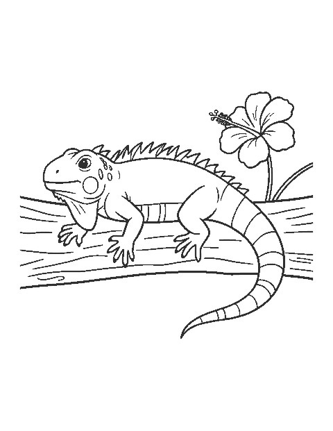 Line drawing of a spiky iguana basking on a log beside a hibiscus flower