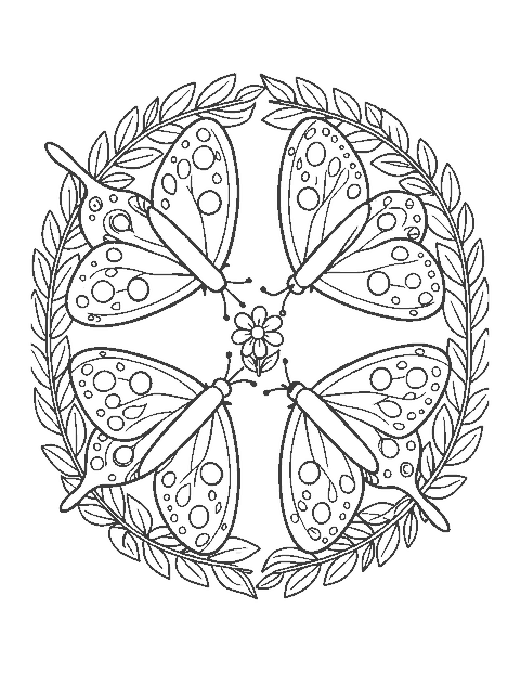 Line drawing of four butterflies meeting at the center of a round mandala of leaves