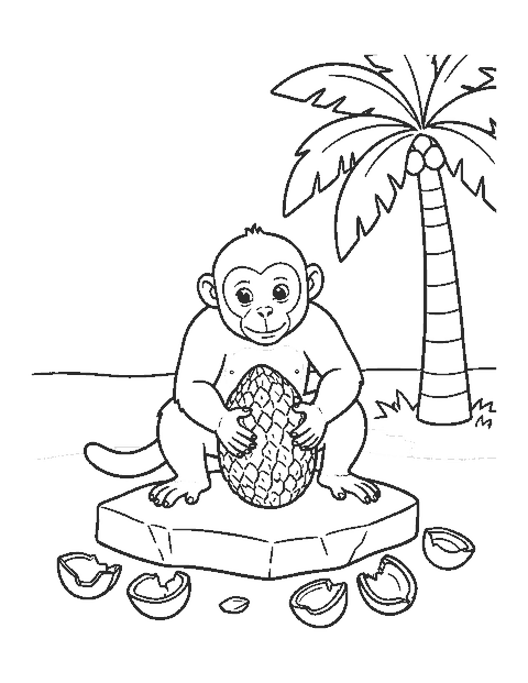 Line drawing of a capuchin monkey using a stone to crack a nut on a flat rock