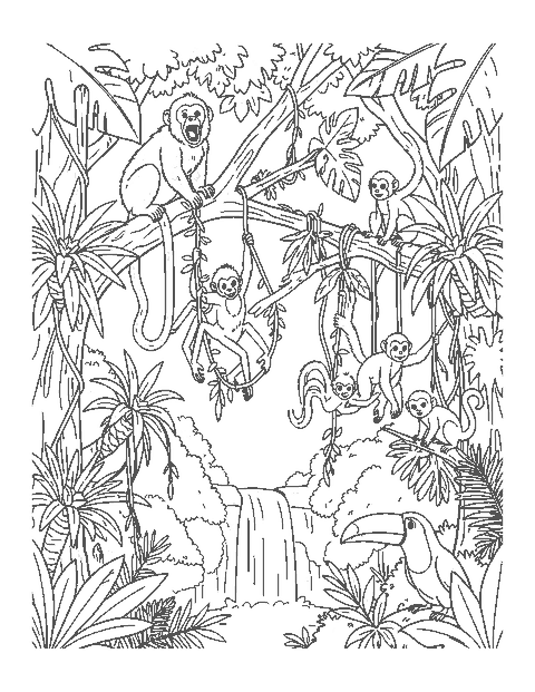 Line drawing of howler, spider and squirrel monkeys in the rainforest treetops with a toucan