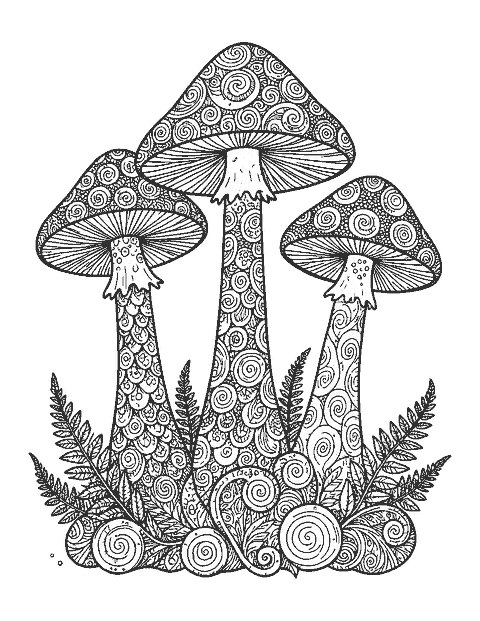 Line drawing of three tall mushrooms filled with doodle patterns with ferns at the base