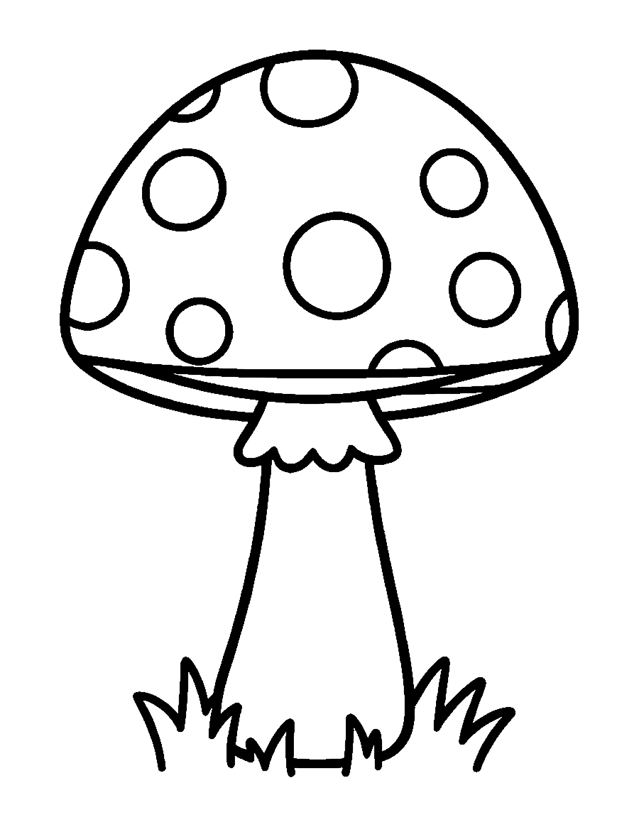 Line drawing of a big spotted toadstool with a thick stem on a short line of grass