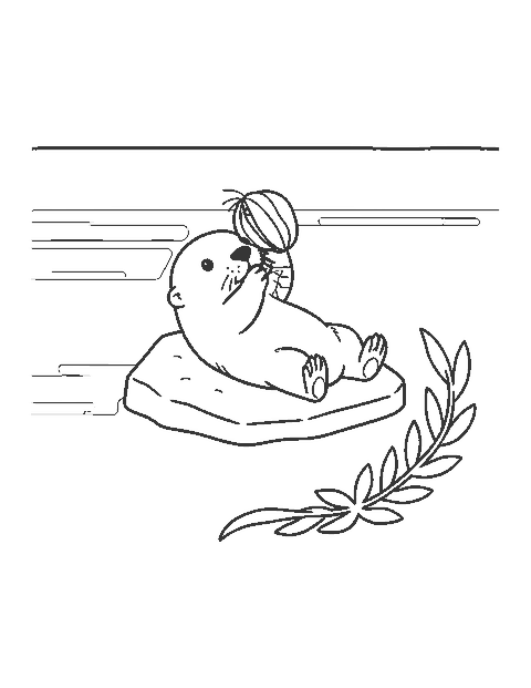 Line drawing of a sea otter floating on its back cracking a clam on a rock on its chest