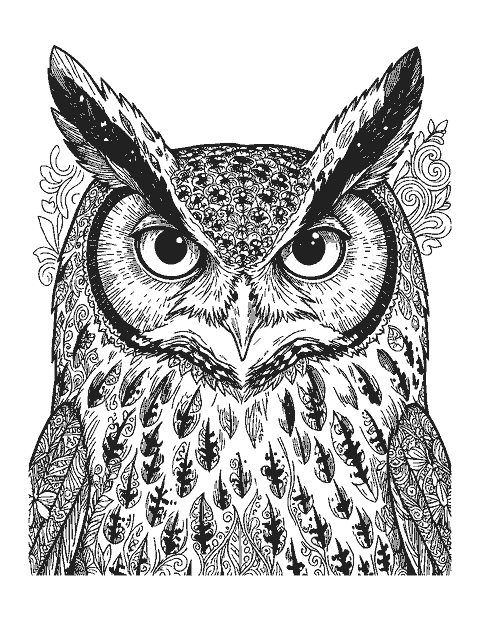 Line drawing close-up of a great horned owl with ear tufts and detailed feathers