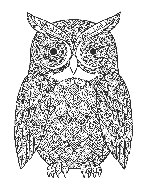 Line drawing of a front-facing owl with mandala face discs and wings filled with feather patterns