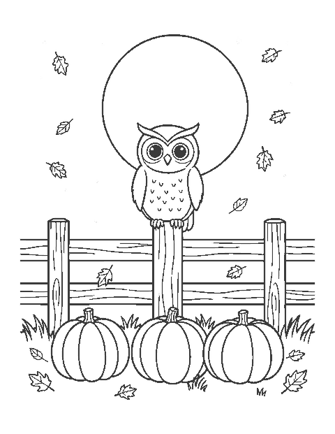 Line drawing of an owl on a fence post above three pumpkins under a full moon