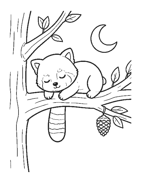 Line drawing of a cute red panda asleep on a tree branch with its legs and tail dangling