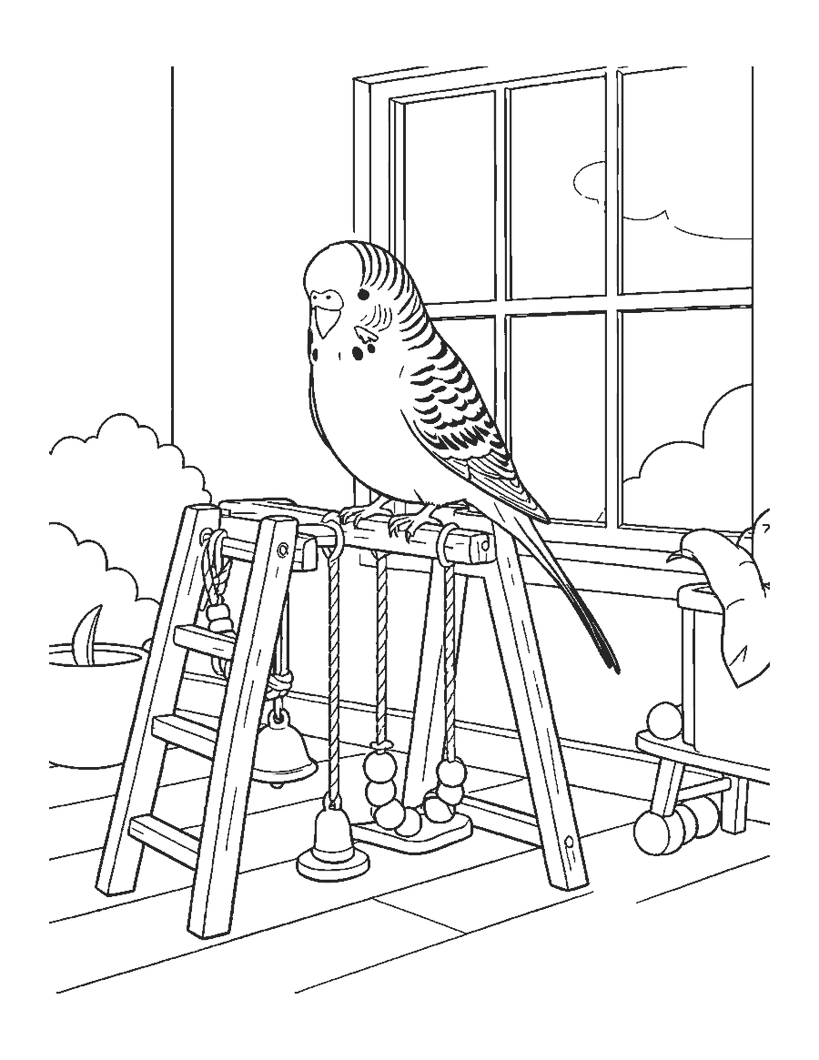 Line drawing of a budgie on a wooden play stand with ladders and a swing by a window