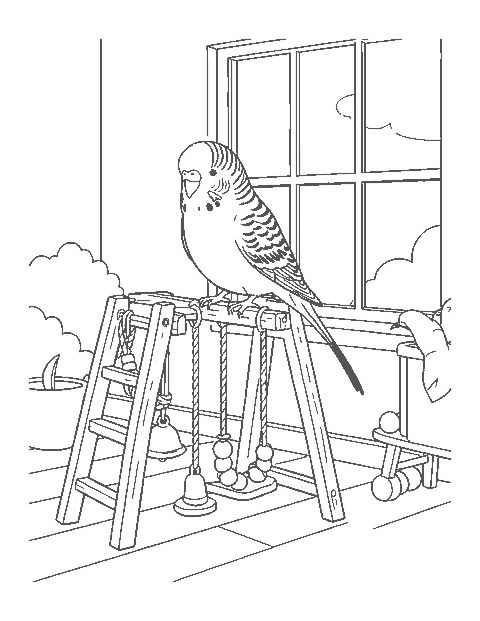 Line drawing of a budgie on a wooden play stand with ladders and a swing by a window