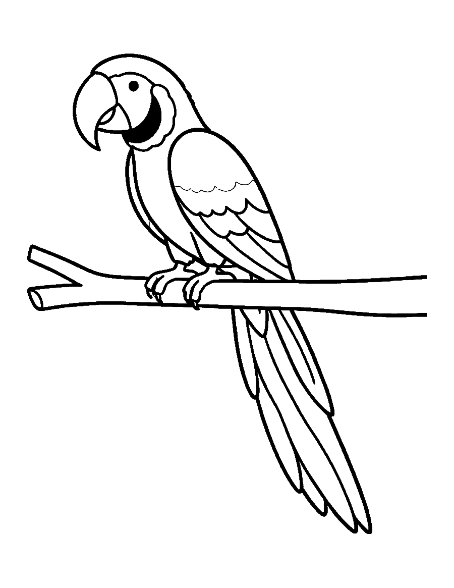 Line drawing of a macaw with a big curved beak and a long tail perched on a branch