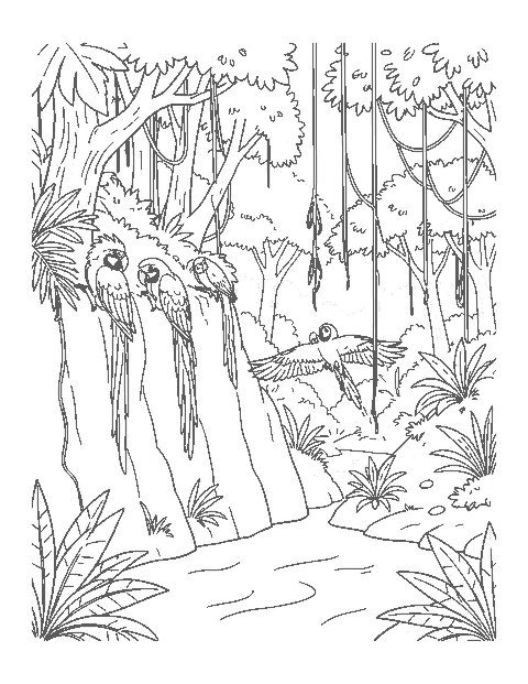 Line drawing of three macaws at a clay cliff above a rainforest river