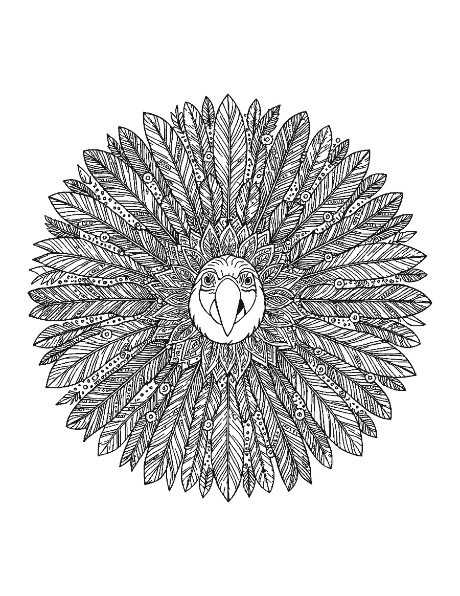 Line drawing of a macaw head inside a round mandala of feathers and tropical leaves