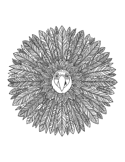 Line drawing of a macaw head inside a round mandala of feathers and tropical leaves