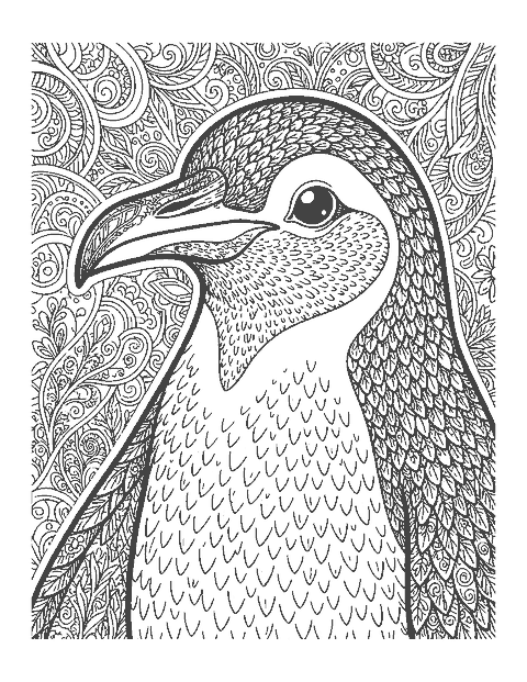 Line drawing close-up of a king penguin's head and chest with detailed feathers