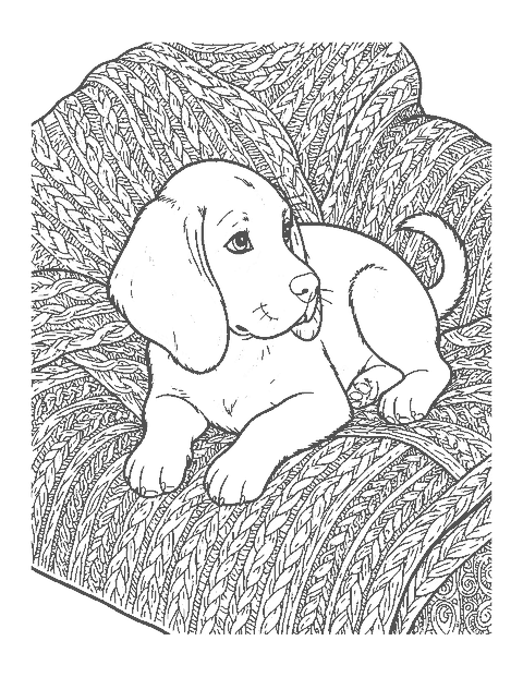 Line drawing of a realistic beagle puppy resting on a cable-knit blanket