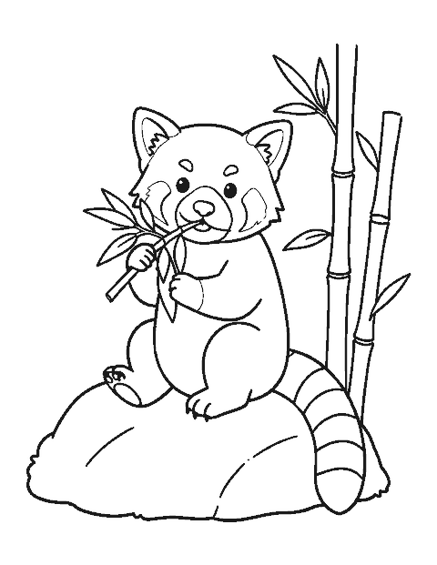 Line drawing of a red panda sitting on a rock munching bamboo leaves