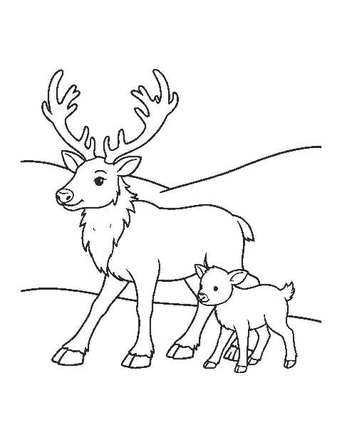 Line drawing of a reindeer calf walking beside its mother across a snowy meadow
